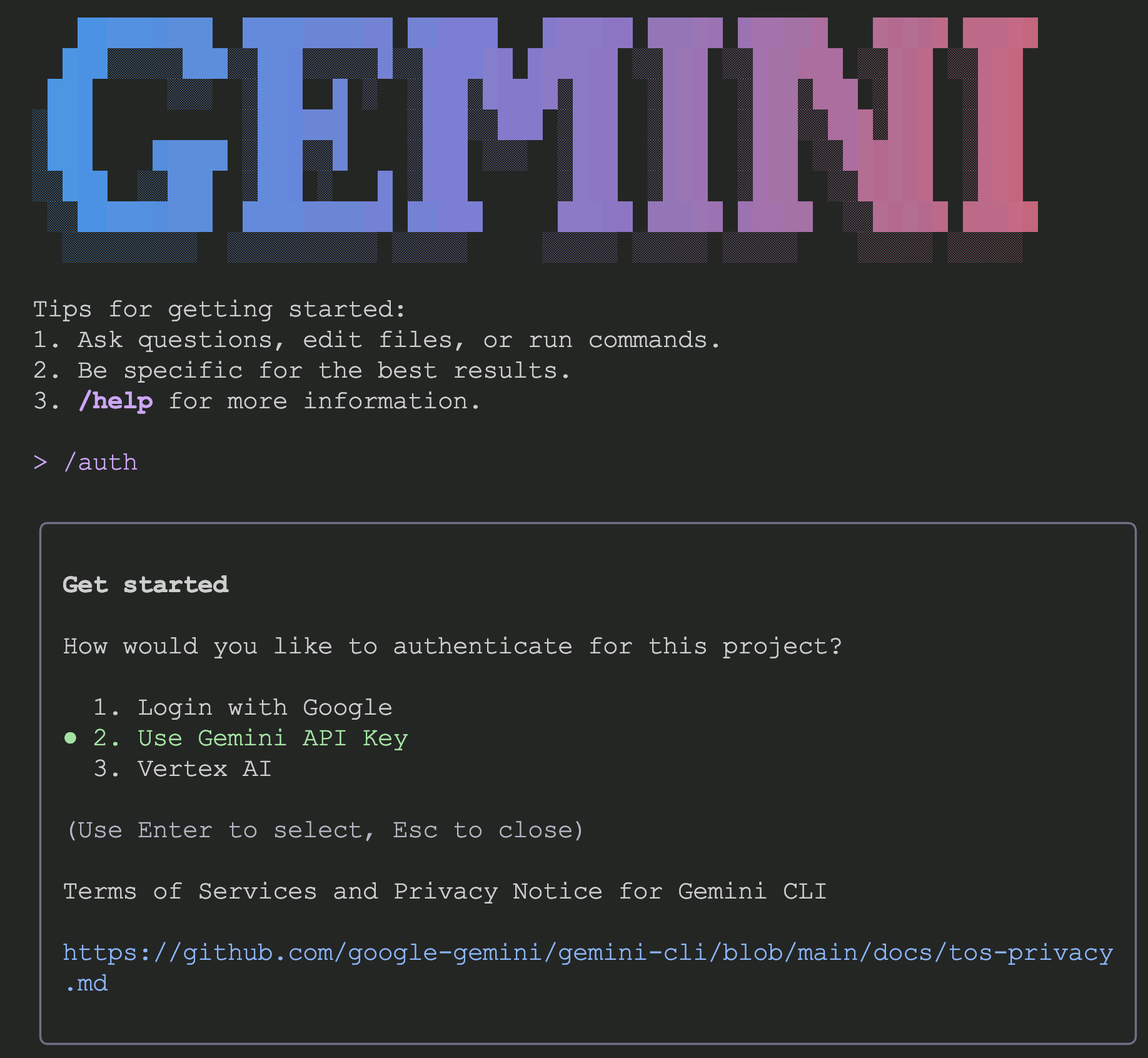 Gemini CLI authentication screen showing /auth command with options: Login with Google, Use Gemini API Key, or Vertex AI